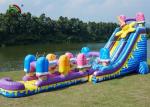 Colorful Ice Cream Inflatable Water Slide Single Lane Fire Retardant