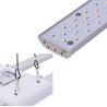 Buy cheap Samsumg Osram LED Brand Full Spectrum White Led Grow Light Small Scale from wholesalers