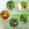 Buy cheap 0.75-1.5g/M Twisted Virgin PP Raffia Tomato Tying Twine Vineyard UV Treated Fibrillated from wholesalers