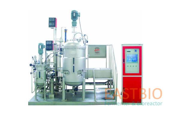 Mechanical Stirred In Situ Sterilizable Fermenter 50L-500L Two 6 Blade Rushton