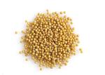 Food Grade Natural Food Seasoning Allyl Isothiocyanate Mustard Oil CAS 8007 40 7