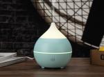 Mist Spraying 200ml 12W Essential Oil Aromatherapy Diffuser 24V