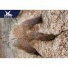 Buy cheap Big Indoor Decorative Fake Dinosaur Fossil Waterproof And Sunproof 1 Year Warranty from wholesalers