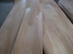 Rotary Peeled Agathis Wood Veneer Sheet For Plywood, MDF
