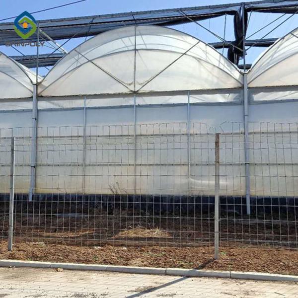 Buy cheap Commercial 0.15mm Polyethylene Film Greenhouse For Tomato from wholesalers