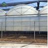 Buy cheap 10m × 12m Heavy Duty Single Tunnel Greenhouse Plastic Tomato Greenhouse from wholesalers