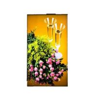 Buy cheap Sunlight Readable High Brightness 55 inch Open Frame LCD Module product