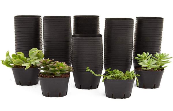 Buy cheap Small Drain Holes Horticultural Plant Pots Modern Bonsai Plastic Dumpy Plants from wholesalers