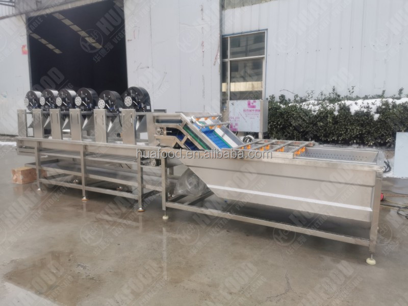 1000kg/hr Industrial Full Automatic IQF Frozen Green Peas Processing Machine Turkey Line Factory Price for Sales