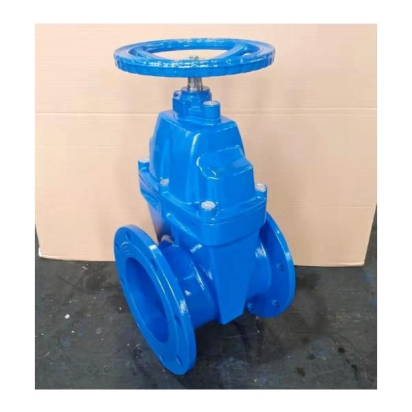 Industry Water Valve Resilient Seat Soft Flange Water Control Stainless Steel