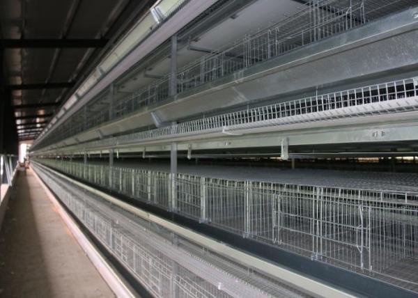 Buy cheap Battery H Type Layer Chicken Cage Low Noise High Carrying Capacity from wholesalers