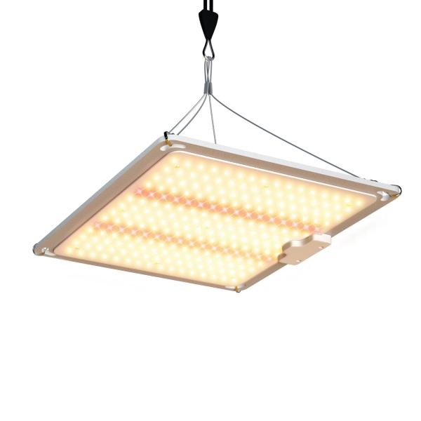 Buy cheap 600w HPS 4x4 Grow Light Plant Lamp Promote Flowering And Fruiting from wholesalers