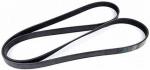 Car Parts XINLONG LION Engine Drive Belt 6PK1870 for Automotive Parts OE
