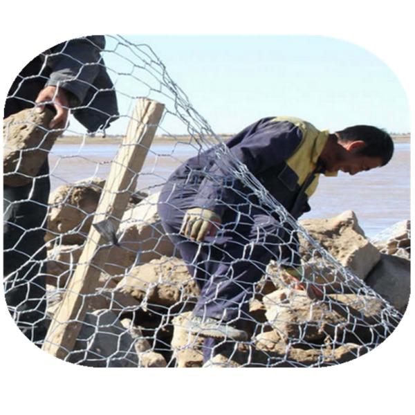 Buy cheap Stone Cages Hexagonal Pvc Coated Gabion Box 2x1x0.5 from wholesalers