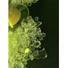 Buy cheap 70:30 Saturated Polyester Resin Low Temperature Curing Good Anti Bending from wholesalers