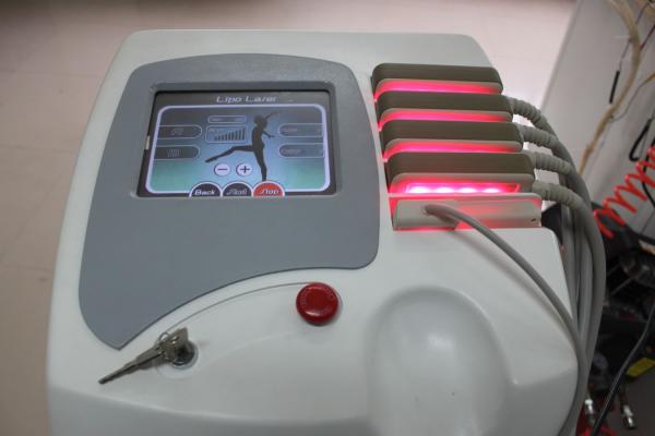 Buy cheap Home Use Portable Lipo Laser Slimming Machine For Arm / Leg Fat Removal from wholesalers