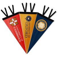Buy cheap Swil 100 Felt Pennant Banner , Triangle Wool Sports Banners product