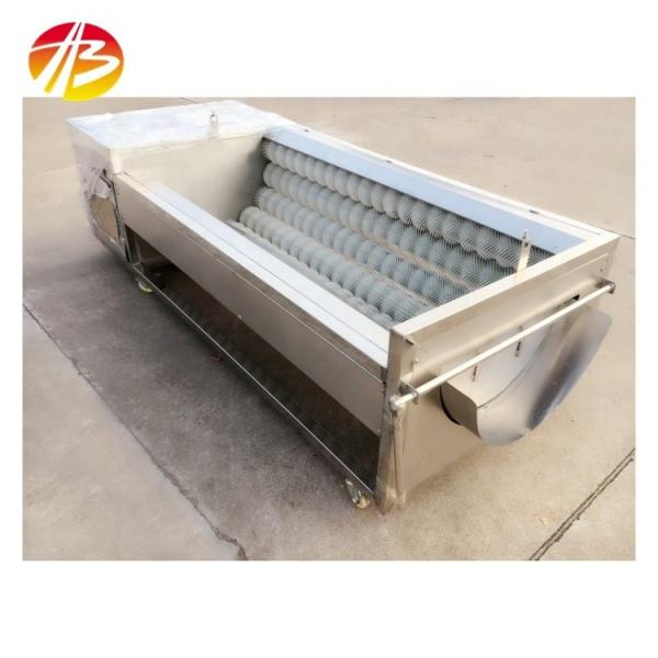 Buy cheap 304 Stainless Steel Portable Vegetable Brush Type Washing And Peeling Machine For Yam from wholesalers