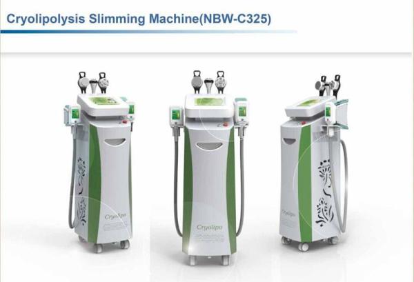 Buy cheap Cryolipolysis Slimming Machine NBW-C325 from wholesalers