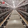 Buy cheap 20000 Birds Battery Chicken Layer Cage H Type For Pakistan Farm 2mm from wholesalers