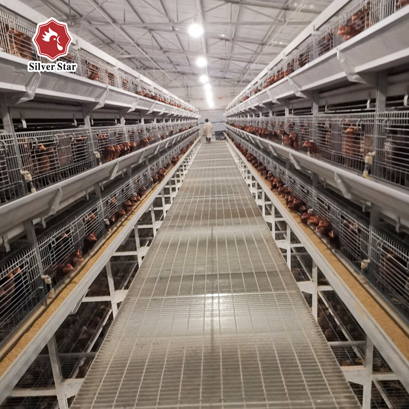 H Type 3 Tiers 4 Tiers Battery Cage For Layer Chicken 45 * 60 * 41cm