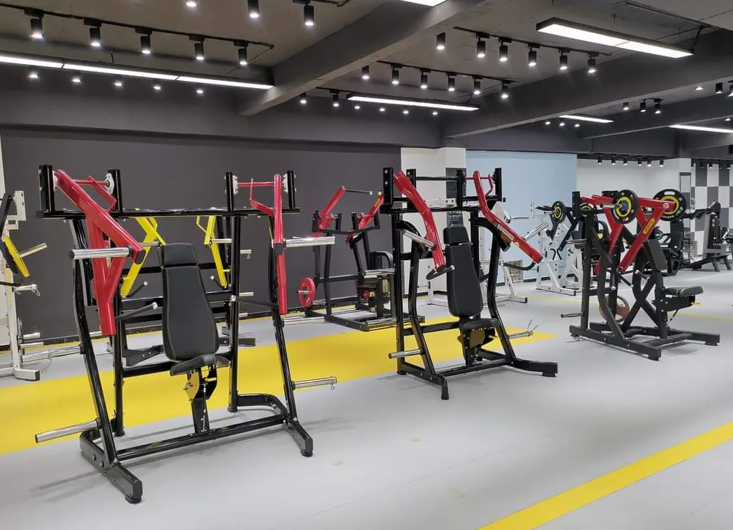 Commercial Gym Equipment Plate Loaded Back Extension Lateral Shoulder Press