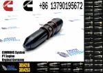 fuel Injector 3054233 3054218 3054220 3802748 3802322 3200690 3802338 3016676
