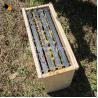 Buy cheap Pollution Free 4 Frames 20mm Fir Queen Rearing Wooden Nuc Box from wholesalers