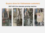 Inorganic Salt Grinding Machine Powder Making Machine food salt grinding Mill