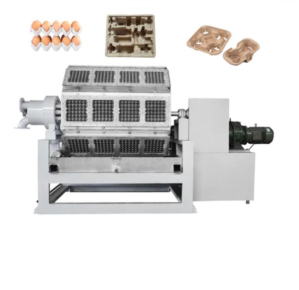 Pulp Waste Paper Egg Tray Making Machine For Chicken Farm Small Production
