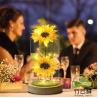 Buy cheap Forever Flower Gift for Women, Preserved Rose in a Glass Dome, Customized Wood Base from wholesalers