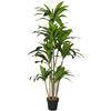 Dracaena Silk Plant Artificial 5ft Faux House Plants Evergreen Dracaena