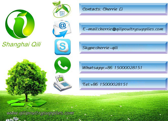 Egg tray with 30 holes PP plastic material and different color QL401