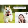 Buy cheap Ariza Geo-Fence Wifi Pet Tracker , Real Time Gps Tracker For Dogs from wholesalers