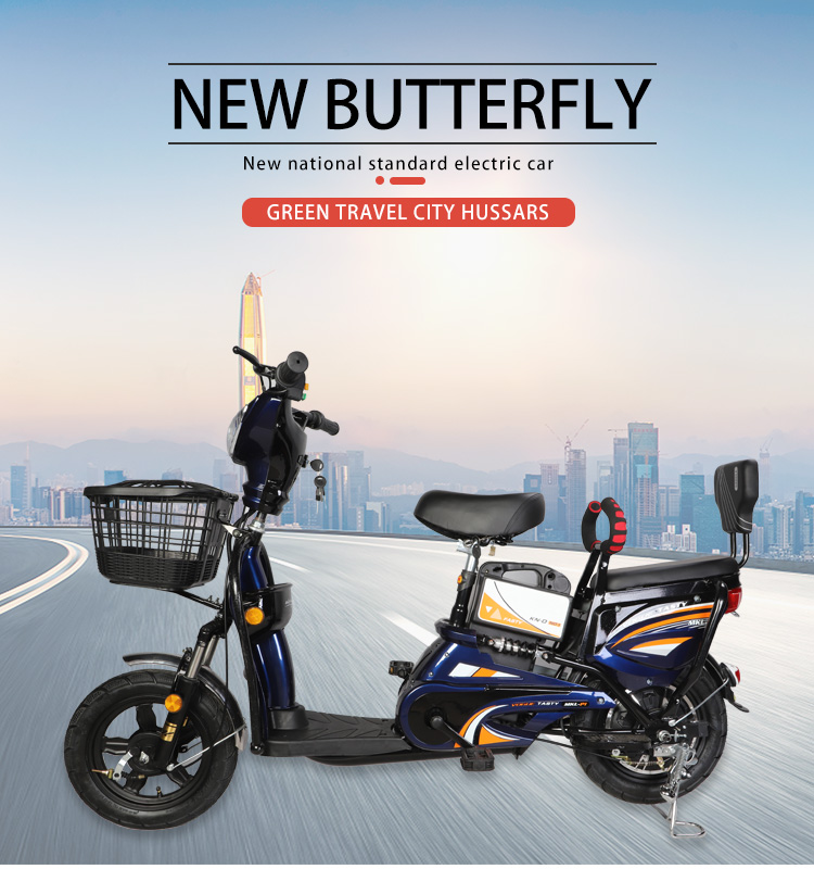NO Foldable Long Distance Electric Bike 350W With 48V 12ah Battery And Smart Sensor