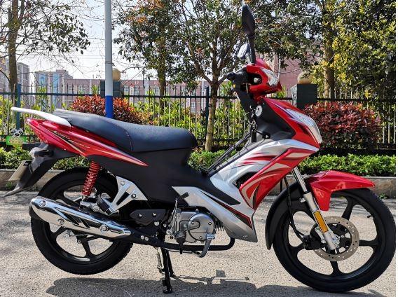 Buy cheap High Performance Adult Dirt Bike 110cc Electric Starting System Red Color from wholesalers