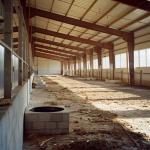 Steel Portal Frame For Horse Training Grounds Reliable And Versatile Equine