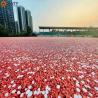 Buy cheap IAAF Sandwich System Semi-prefabricated Running Track Athletic Track and Field Materials EPDM Rubber Granules for Playground Surface from wholesalers