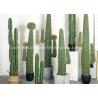 Buy cheap Greenery Fake Faux Potted Floor Plants Used In Windowsill Bookshelf from wholesalers