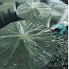Buy cheap 4 Layers 12mm Aluminum Bubble Wrap For Greenhouse Roofing Insulation Car Sunshade from wholesalers