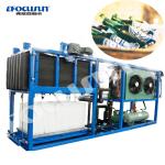 5000kg Ice Storage Capacity Direct Cooling Ice Block Maker Machine for