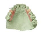 Safe and Comfortable Plant Reproduction Resin Customized Fit for Sensitive