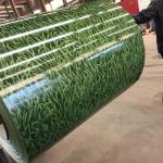 0.2mm Polishing Gi Steel Coil Hot Rolled Building Structural Car Parts 275g / M2
