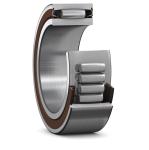 Carb Toroidal Stainless Steel Spherical Bearings