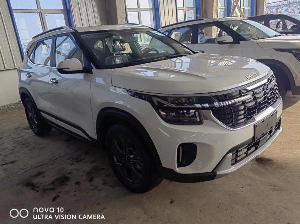 Buy cheap 2023 New Kia Seltos Gasoline SUV Cars 1.5L CVT Compact SUV White Color from wholesalers