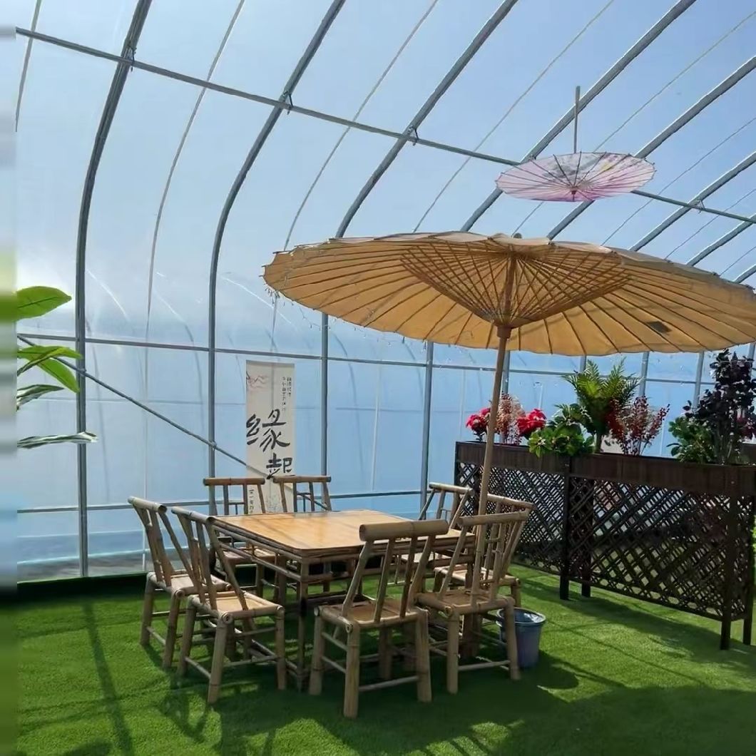 Hydroponics Sunlight Greenhiuse for Vegetable Strawberry Flower
