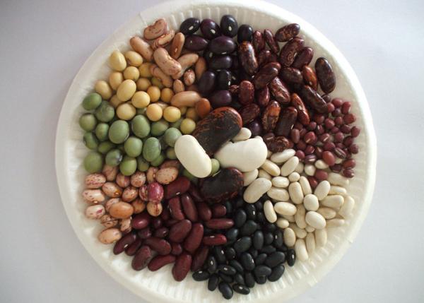 Buy cheap Dried Beans Chinese White Kidney Beans from wholesalers