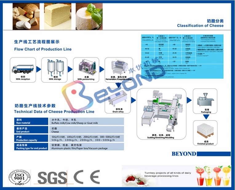 Fresh Milk 1000L Mozzarella Cheese Making Equipment
