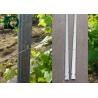 Buy cheap 54x30MM Steel Weatherproof Vineyard Fence Posts from wholesalers