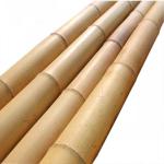 Wholesale Price Natural Moss Plant Pole Moss Stick For Climbing Plants Moss
